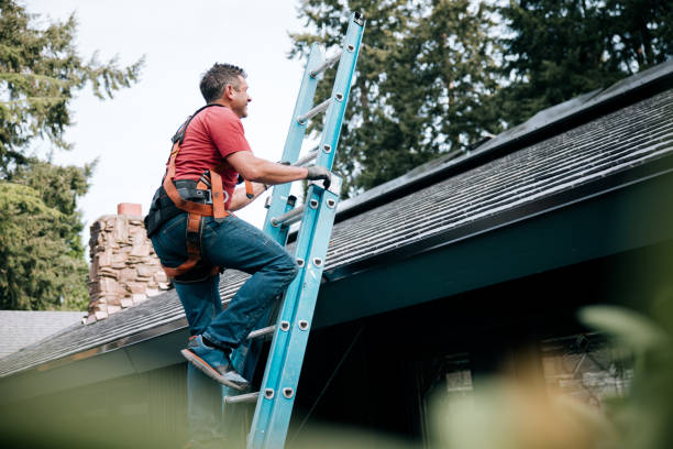 Best Chimney Flashing Repair  in Ivyland, PA